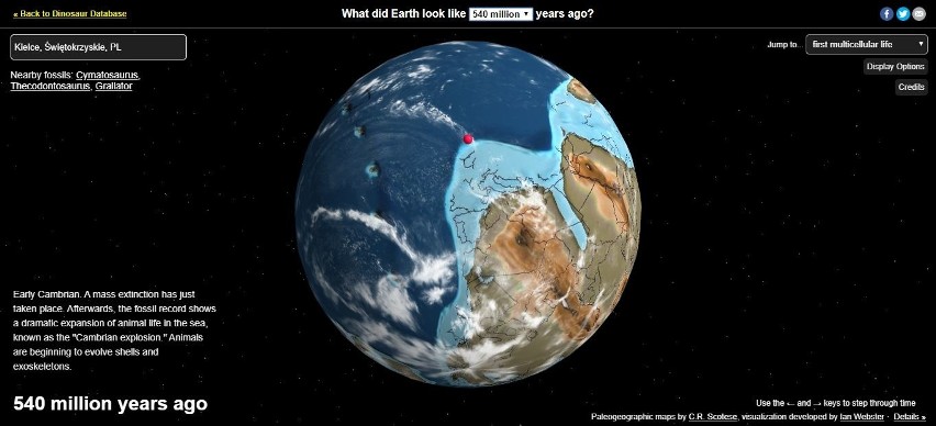 540 milionów lat temu...