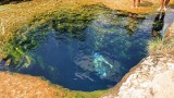 Jacob’s Well, czyli Studnia Jakuba w Teksasie. To piękne kąpielisko przyciąga turystów i amatorów mocnych wrażeń z całego świata!