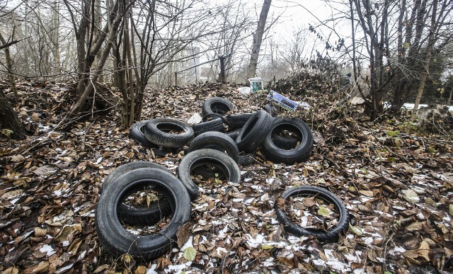 Wzdłuż ulicy Wyspiańskiego, za ogródkami działkowymi, ktoś wyrzucił kilkadziesiąt zużytych opon samochodowych.