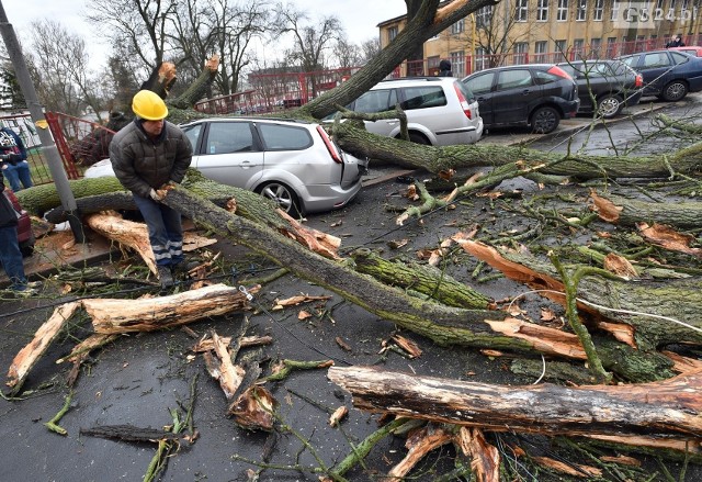 Czy wiatr w Szczecinie znowu będzie tak silny jak ostatnio?