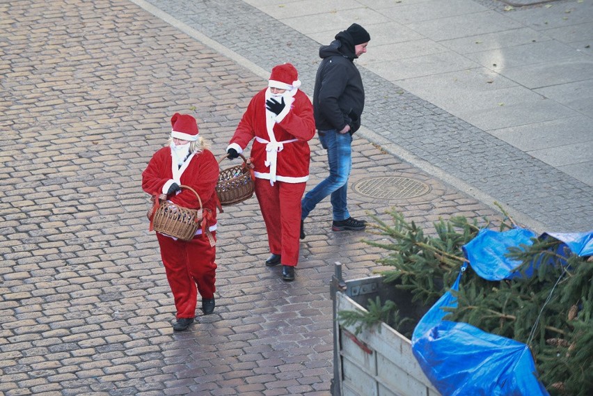 Przygotowania do świąt czas zacząć! Na toruńskim Rynku...