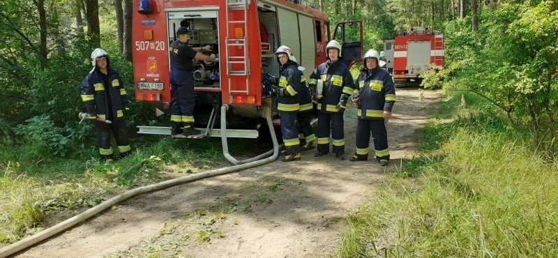 PSP Maków Mazowiecki. Strażacy gasili pożar w lesie na terenie leśnictwa Gutowo (nadleśnictwo Ostrołęka). Ktoś podpalił las! Zdjęcia