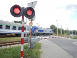 Od niedzieli 12 grudnia w całej Polsce wchodzi w życie nowy rozkład jazdy na kolei