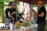 II Opolski Festiwal Pszczelarski. Można kupić miód, sprzęt pszczelarski i zdobyć wiedzę o pszczołach