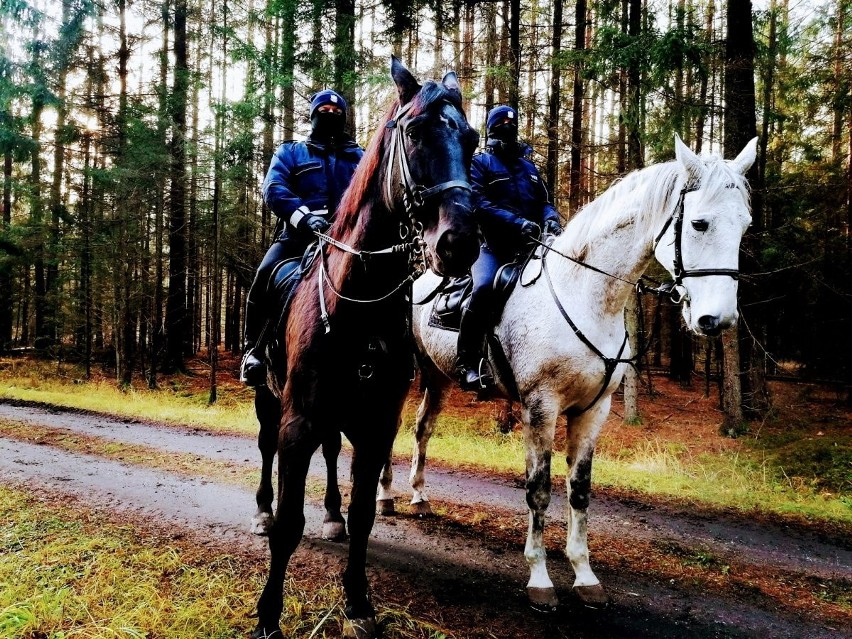 Policyjne konie i ich jeźdźcy na granicy z Białorusią. Tak wygląda praca wyjątkowych duetów [ZDJĘCIA]