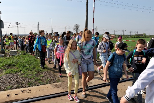 Grupa piesza podczas pokonywania trasy VIII Rajdu Sapera