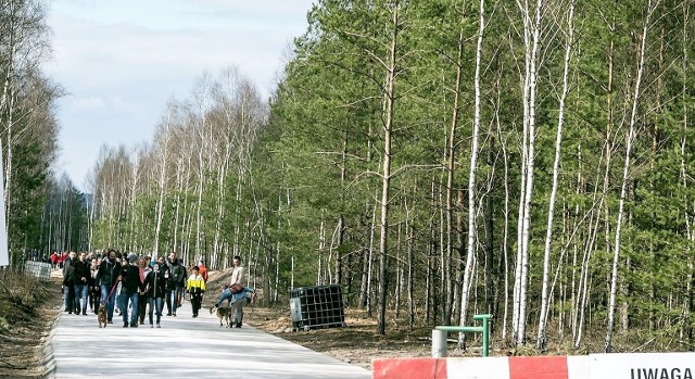 Spacer się udał, ale w drodze powrotnej z Pustyni Błędowskiej do samochodu trzeba przejść kawałek drogi