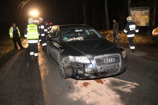 W Dańcu na ulicy Ozimskiej kierująca audi kobieta nie wyhamowała przed dzikiem i zderzyła się z nim.