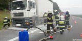 Pożar ciężarówki na trasie S10 w Zielonce pod Bydgoszczą [ZDJĘCIA] Na szczęście nikomu nic się nie stało