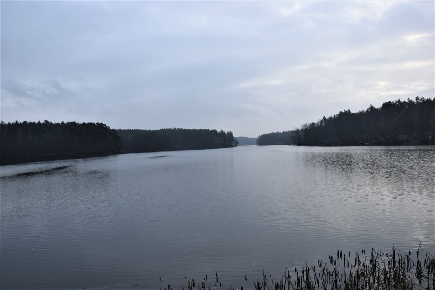 Jezioro Krzynia zimą. Cisza, czyste powietrze i piękne widoki [ZDJĘCIA]