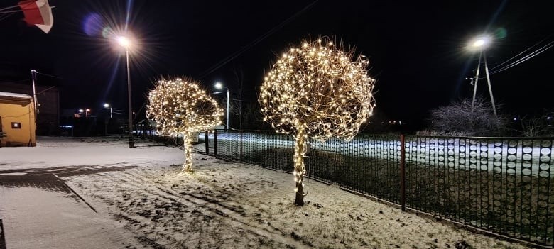 Świąteczne iluminacje w Wodzisławiu. Duża choinka na rynku i przystrojone drzewka w mieście [GALERIA]