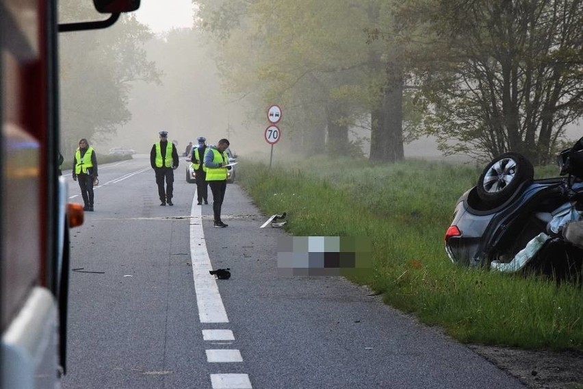 Zwierzę wybiegło na jezdnię, śmiertelny wypadek. Wciąż niewiele wiadomo (ZDJĘCIA)