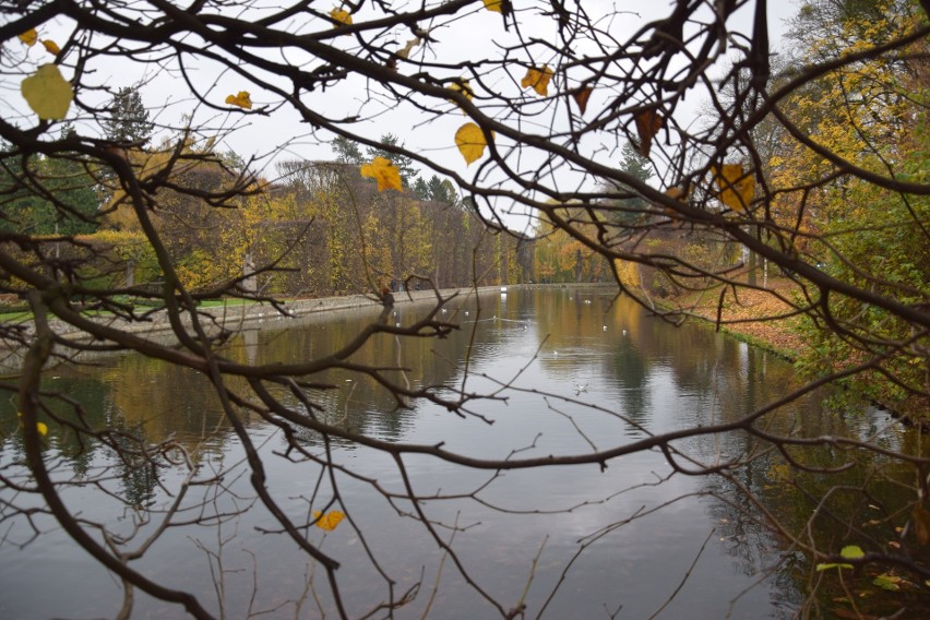 Park Oliwski to jedno z najczęściej odwiedzanych miejsc na...
