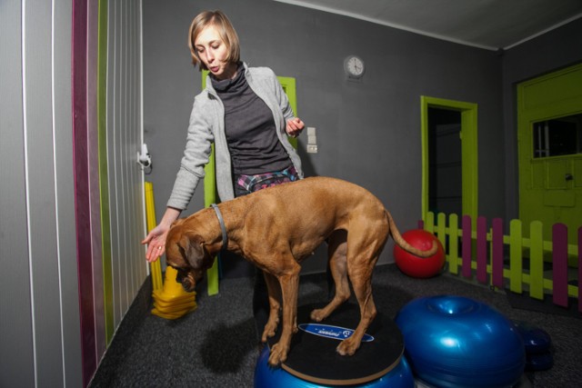 Pani Alina Olejniczak i jej pies w siłowni na Miedzyniu