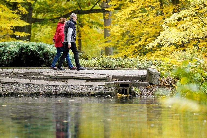 Prognoza pogody na weekend i 1 listopada na Pomorzu. Będzie wyjątkowo ciepło, ale może popadać