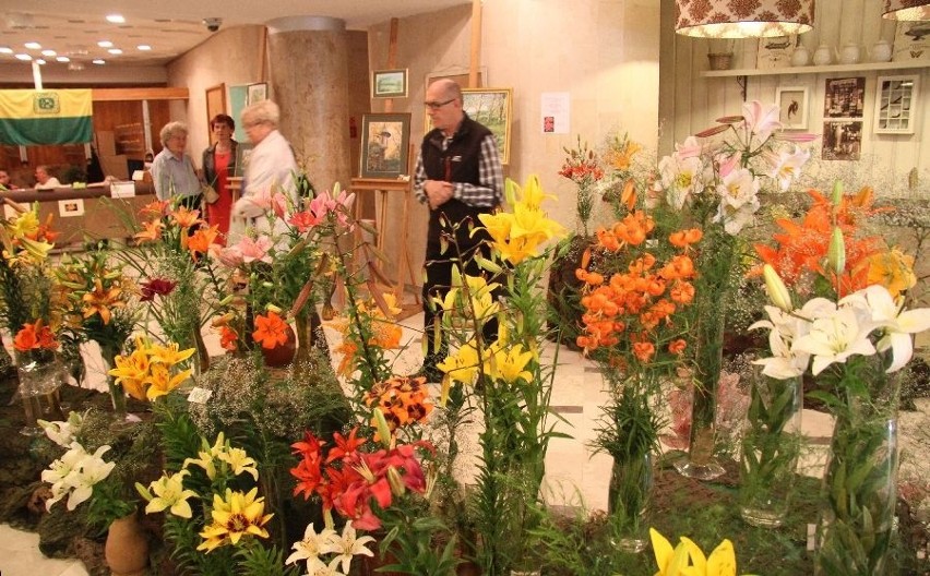 Wystawa lilii w Kielcach