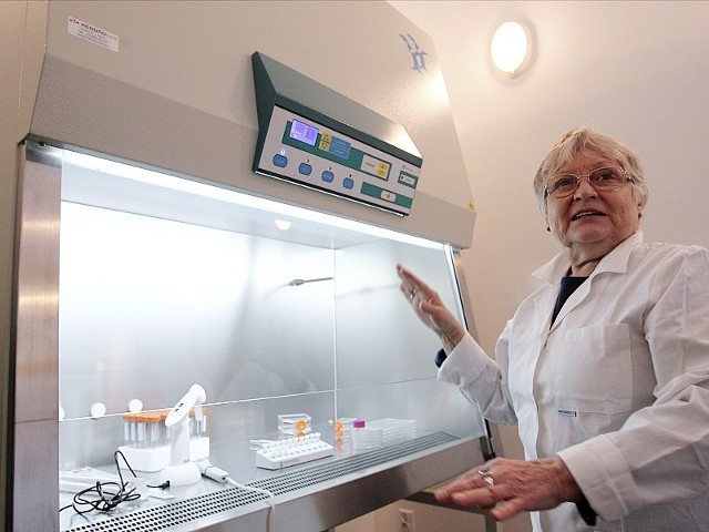 Prof. Elżbieta Wałajtis-Rode przy komorze do hodowli tkanek i komórek.