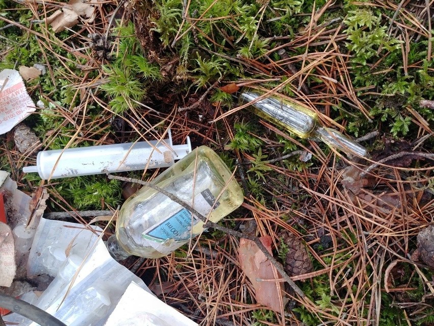 Odpady medyczne w jednym z zielonogórskich lasów.
