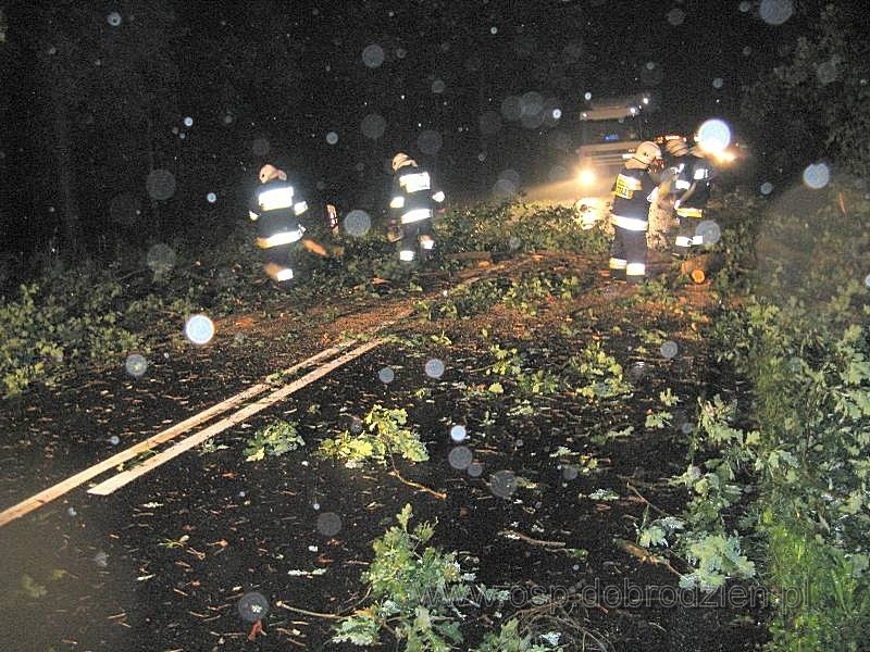 Strażacy z Ochotniczych Straży Pożarnych usuwali powalone...