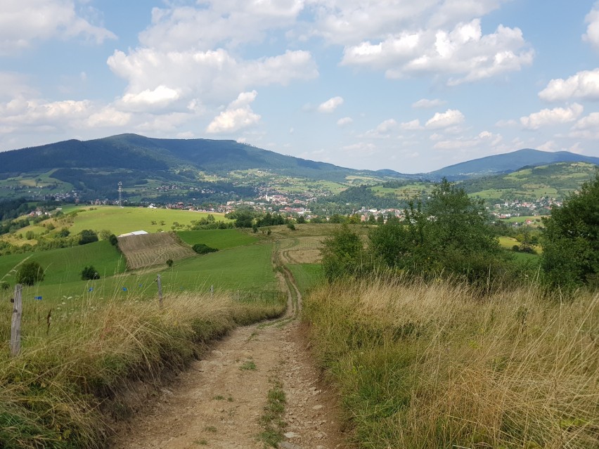 Odkryj Beskid Wyspowy. Na Potaczkowej moc okazały bukiety z ziół i kwiatów [ZDJĘCIA]