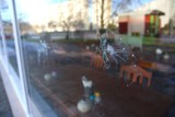 Ktoś ostrzelał z wiatrówki bary Palestyńczyka w Gdańsku [ZDJĘCIA,WIDEO]