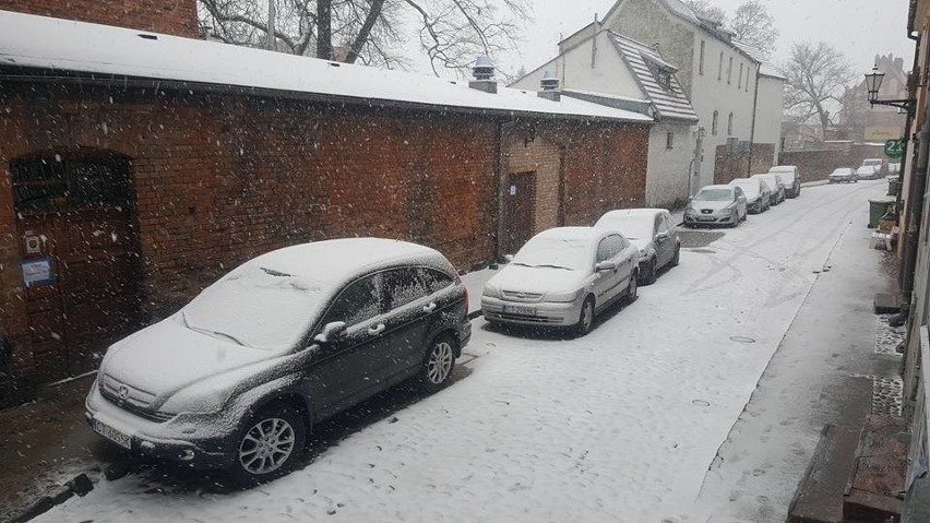 Powrót zimy w Toruniu? [ZDJĘCIA]