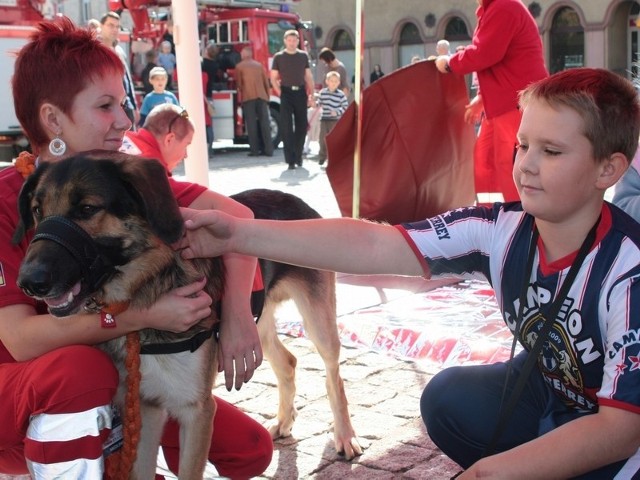 Pies ratowniczy Walker zrobił furorę wśród dzieci uczestniczących w dzisiejszym pokazie przed ratuszem.