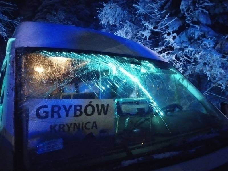 Złamane drzewo przygniotło bus relacji Grybów - Krynica