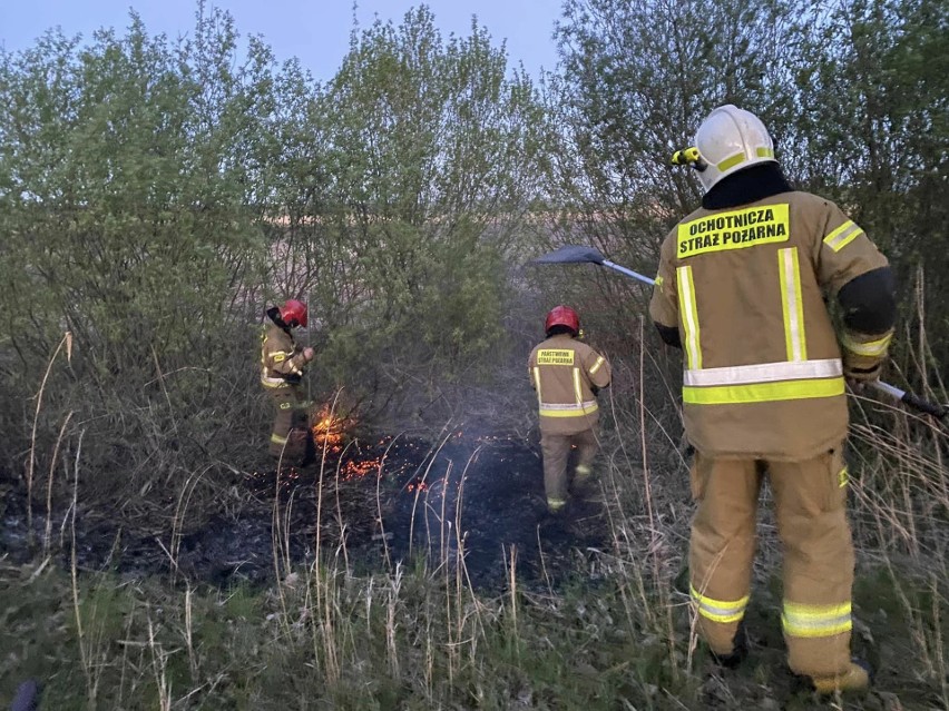 Pożar trzciny przy stawach hodowlanych w miejscowości Knyszyn-Zamek