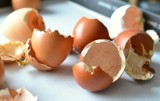 Nie wyrzucaj skorupek po jajkach. Sprawdź, do czego możesz je wykorzystać
