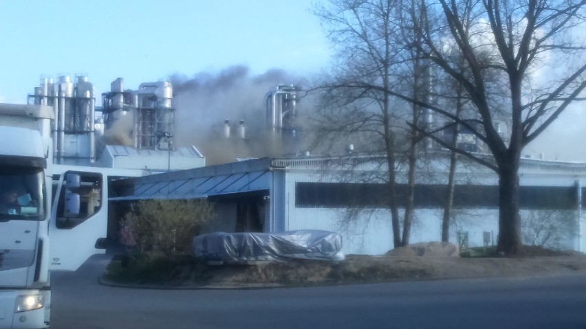 Według oświadczenia rzecznika zakładu, ogień pojawił się w...