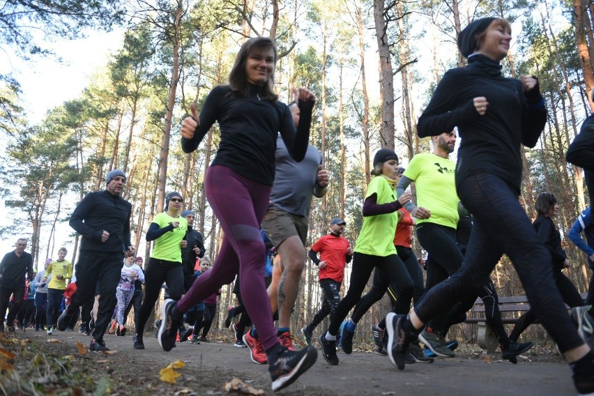 Parkrun Toruń. Zobacz zdjęcia z sobotniego biegu [20.11]