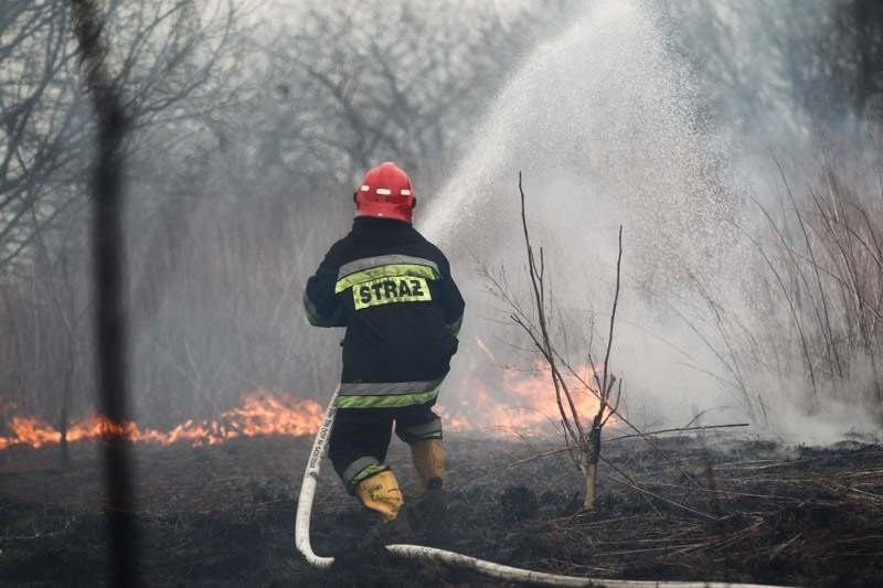 Niebezpieczny pożar traw przy ul. Borowej w Rzeszowie [WIDEO+FOTO]