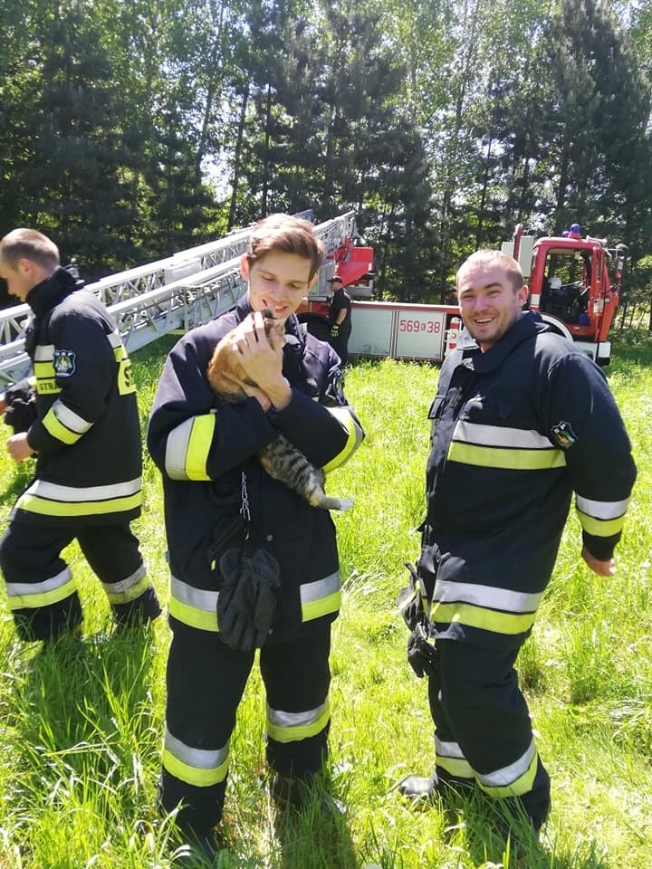 Strażacy z OSP Zagórze z uratowaną kotką Tigrą