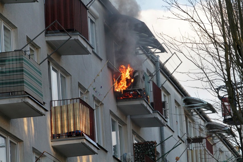 Pożar w Tarnobrzegu. Trzy zastępy straży w akcji, gasili ogień z drabiny z koszem (ZDJĘCIA)