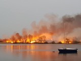 Potężny pożar trzcinowiska pod Wrocławiem [ZDJĘCIA]