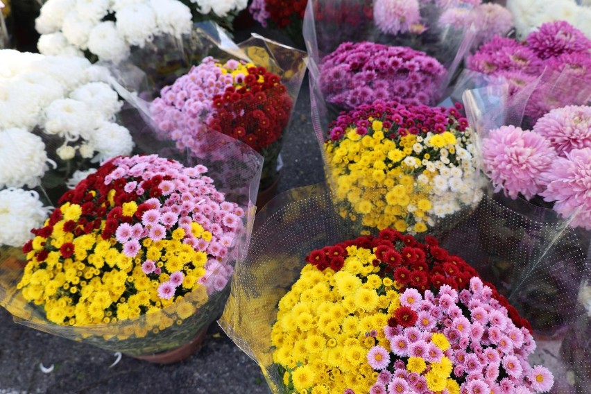 Ceny kwiatów zależą od regionu, gatunku i przede wszystkim...