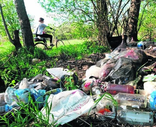 Tak wygląda dzikie wysypisko w okolicach ulicy Wierzbowej na Rubinkowie. Ten widok raczej nie cieszy oka