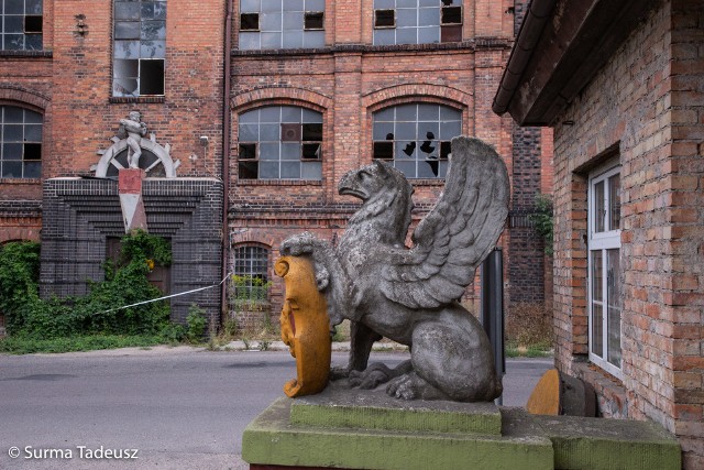 Nasz fotoreporter Tadeusz Surma wczoraj (5.08.2019 r.) uwiecznił opuszczone i zaniedbane zakamarki na ulicy Głównej w tzw. starym Kluczewie, części Stargardu. Był też nad rzeką małą Iną. Zapraszamy do obejrzenia niecodziennej fotogalerii! 