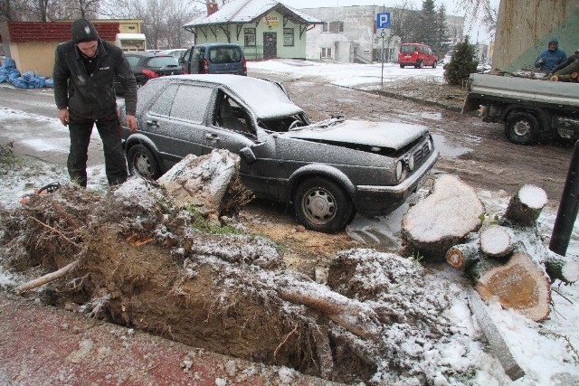 Przy ulicy Krzyżanowskiej w Kielcach przewrócone drzewo upadło na samochód osobowy.