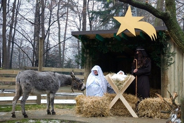 Żywą Szopkę w krakowskim ogrodzie zoologicznym będzie można odwiedzać 25, 26 i 27 grudnia w godz. 12-14