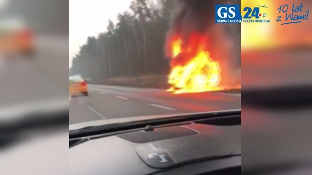 Około godz. 8. na Szosie Stargardzkiej, pomiędzy stacją paliw Shell a zjazdem na S3, samochód osobowy stanął w płomieniach. Zdjęcia na alarm@gs24.pl przesłali nam Internauci.Wyglądało groźnie, ale - jak informują strażacy - nikomu nic się nie stało. Działania w tym miejscu są już zakończone.