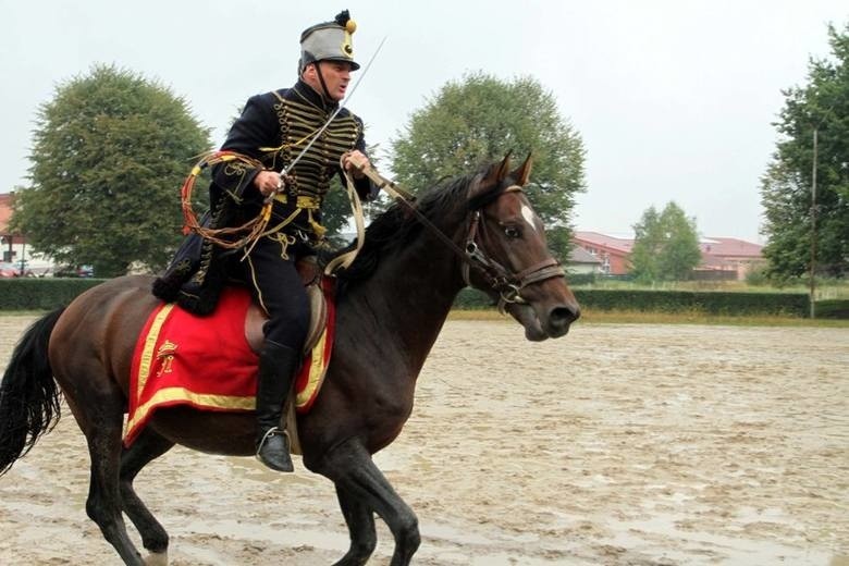 Niepołomice. Pola Chwały 2015