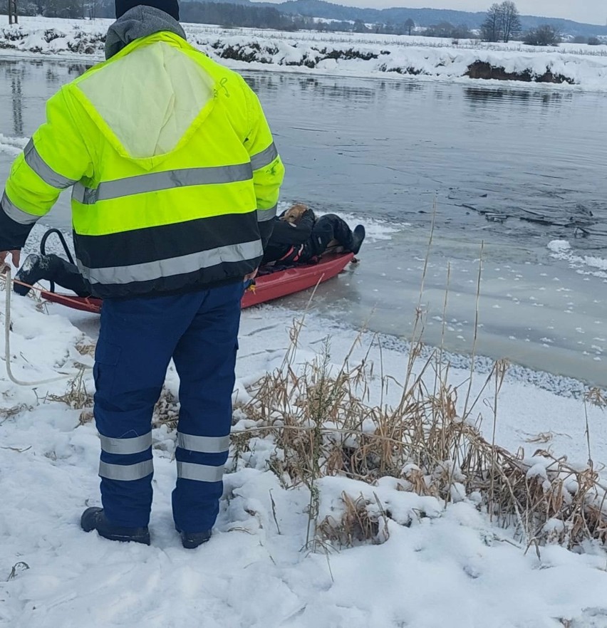 Siemiań Nadrzeczny. Strażacy uratowali psa. Zwierzę znajdowało się w lodowatej wodzie rzeki Narew
