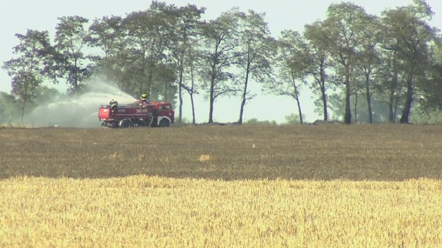 We wsi Mieczownica spłonęło 35 hektarów jęczmienia.