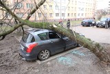 Ostrzeżenie. Miejskie Centrum Zarządzania Kryzysowego uprzedza. Będzie silny wiatr!