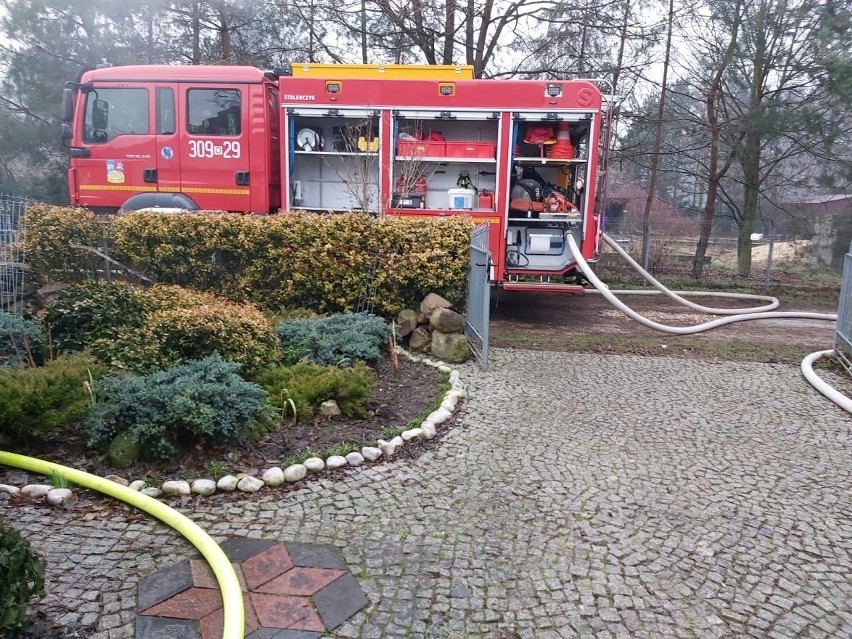 Z ogniem walczy 5 zastępów straży pożarnej.