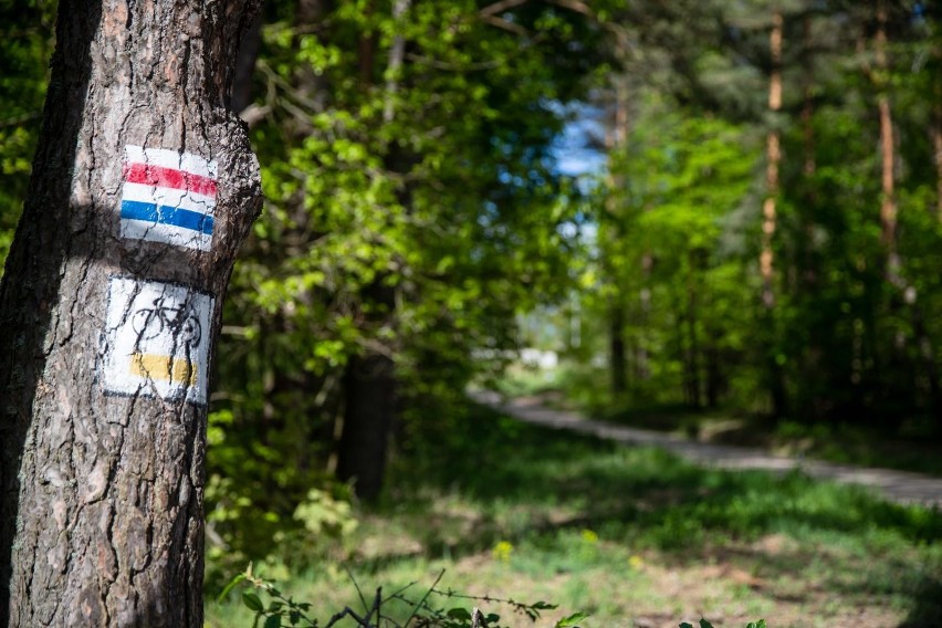 NIK interesuje się Green Velo. Kontrolerzy proszą rowerzystów, by wypełnili ankietę i wskazali braki najdłuższej ścieżki rowerowej w Polsce