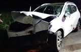 Mierzewo: Samochód zderzył się z dzikiem. Trzy osoby ranne [ZDJĘCIA]