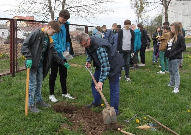 Mieszkańcy osiedla Ustronie, uczniowie  i przedszkolaki uczestniczyli  w kolejnej akcji sadzenia drzew.